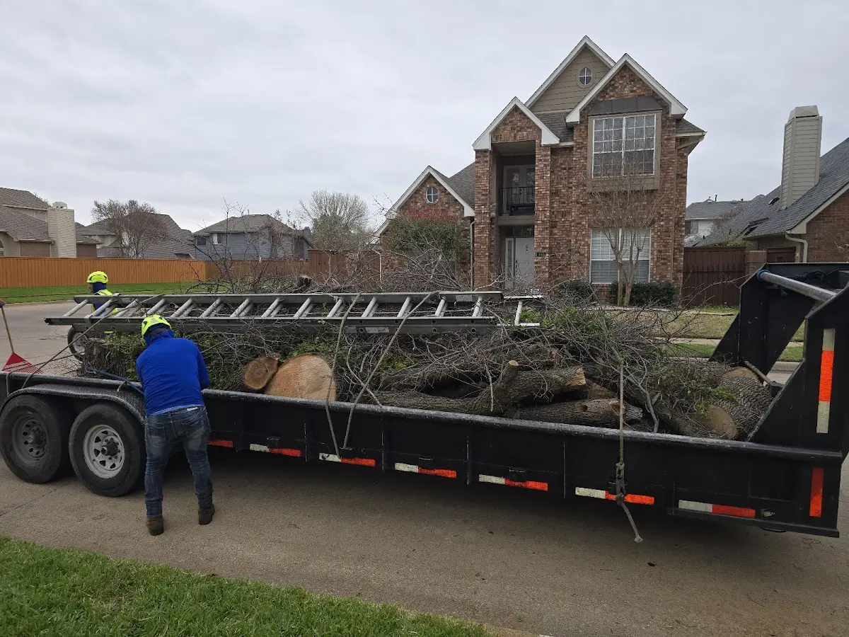 Expert Lot Clearing with proper safety equipment in Lyndonville